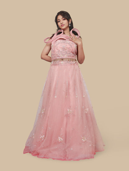 Stone & Sequins Lehenga Choli Set